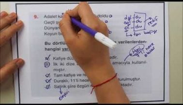 2A AYT Türk Dili ve Edebiyatı Soruları