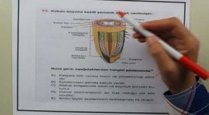 2A YKS Biyoloji Sınavda Çıkabilecek Sorular