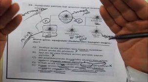 AYT Biyoloji Sınav Öncesi Çözülmesi Gereken Sorular