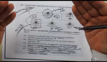 AYT Biyoloji Sınav Öncesi Çözülmesi Gereken Sorular