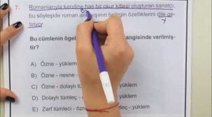 Türk Dili ve Edebiyatı TYT Deneme